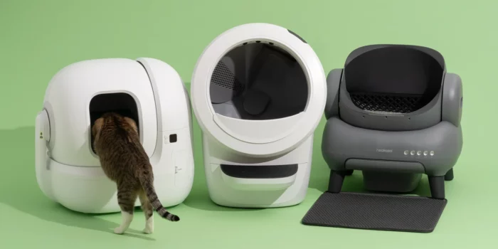 Best Automatic Litter Boxes