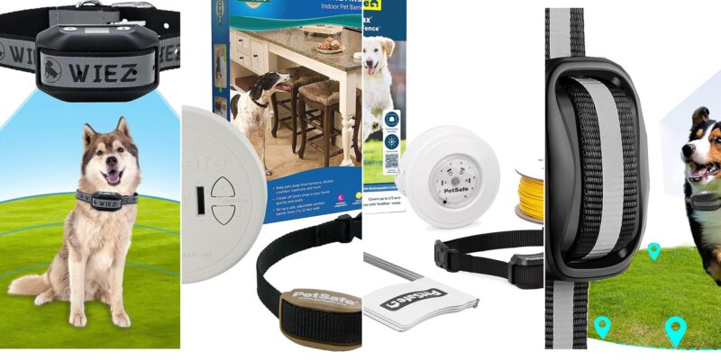 Top 10 Best Electronic Dog Fences 2026