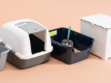 Top 10 Best Litter Boxes 2026
